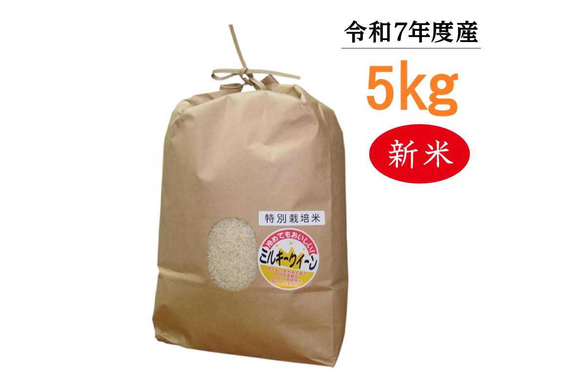 【令和7年度産】東浦町のミルキークイーン 5kg｜米  新米 おこめ 精米 直送 鈴木農産 愛知県