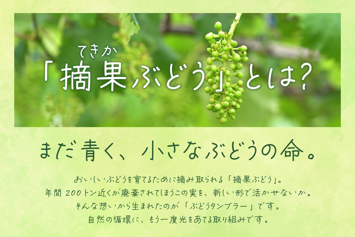摘果ぶどうのタンブラー（ぶどう濃度1％）