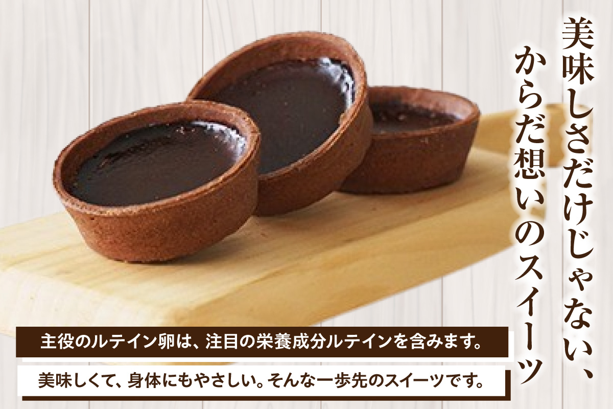 ショコラエッグタルト 9個入