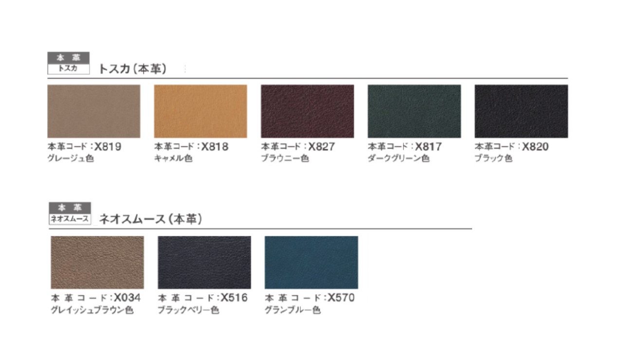 ãã«ãªã¢ã¯å®¶å
·ã æ¬é©åŒµããœãã¡ CãZU2513ã