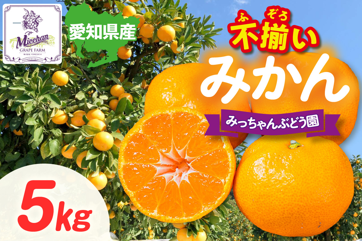 [先行予約][2026年12月発送][訳あり]不揃いみかん・5kg×1箱│フルーツ 果物 オレンジ 甘い 産地直送 柑橘 大容量 お得 愛知県 東浦町
