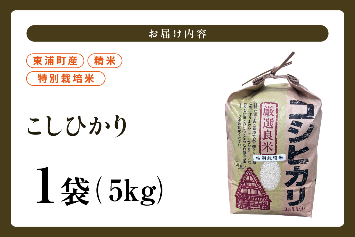 東浦町産　こしひかり　約5kg│米 お米 コメ 白米 精米 新米 産地直送 愛知県産 鈴木農産 愛知県 東浦町