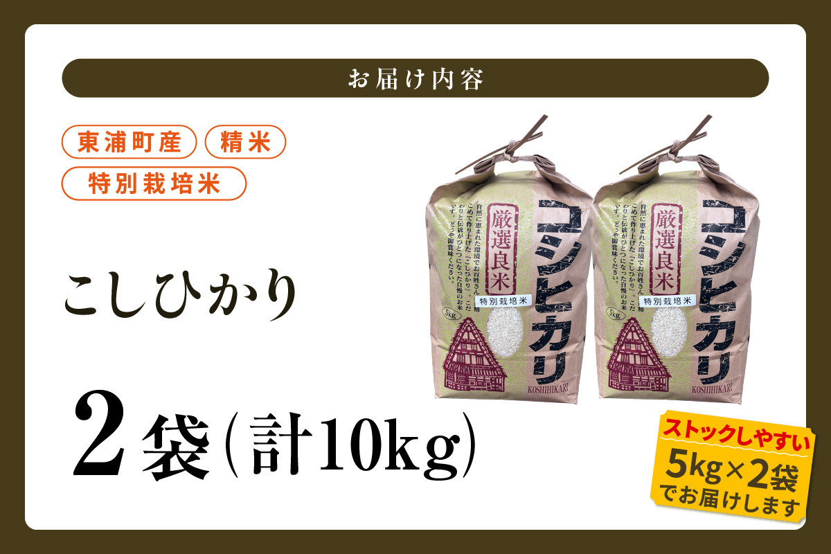 東浦町産　こしひかり　約10kg（5kg×2袋）│米 お米 コメ 白米 精米 新米 産地直送 愛知県産 鈴木農産 愛知県 東浦町