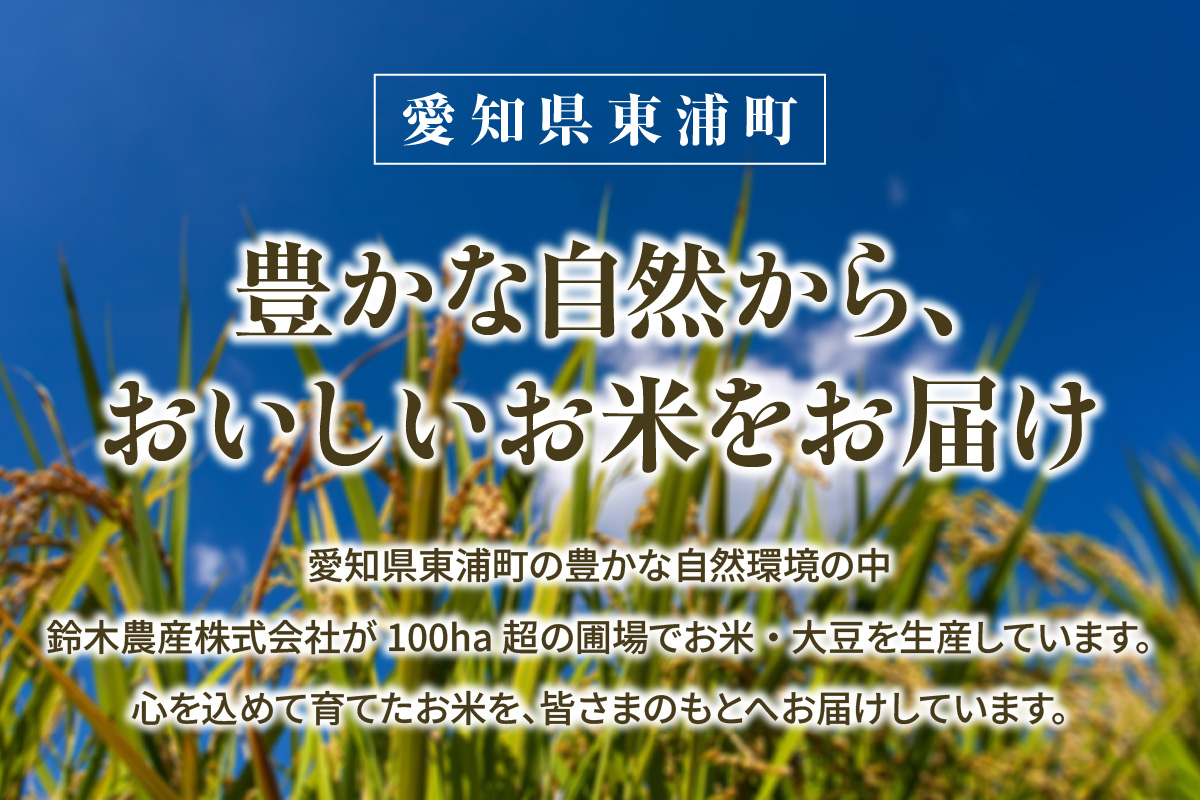 東浦町産　こしひかり　約5kg│米 お米 コメ 白米 精米 新米 産地直送 愛知県産 鈴木農産 愛知県 東浦町