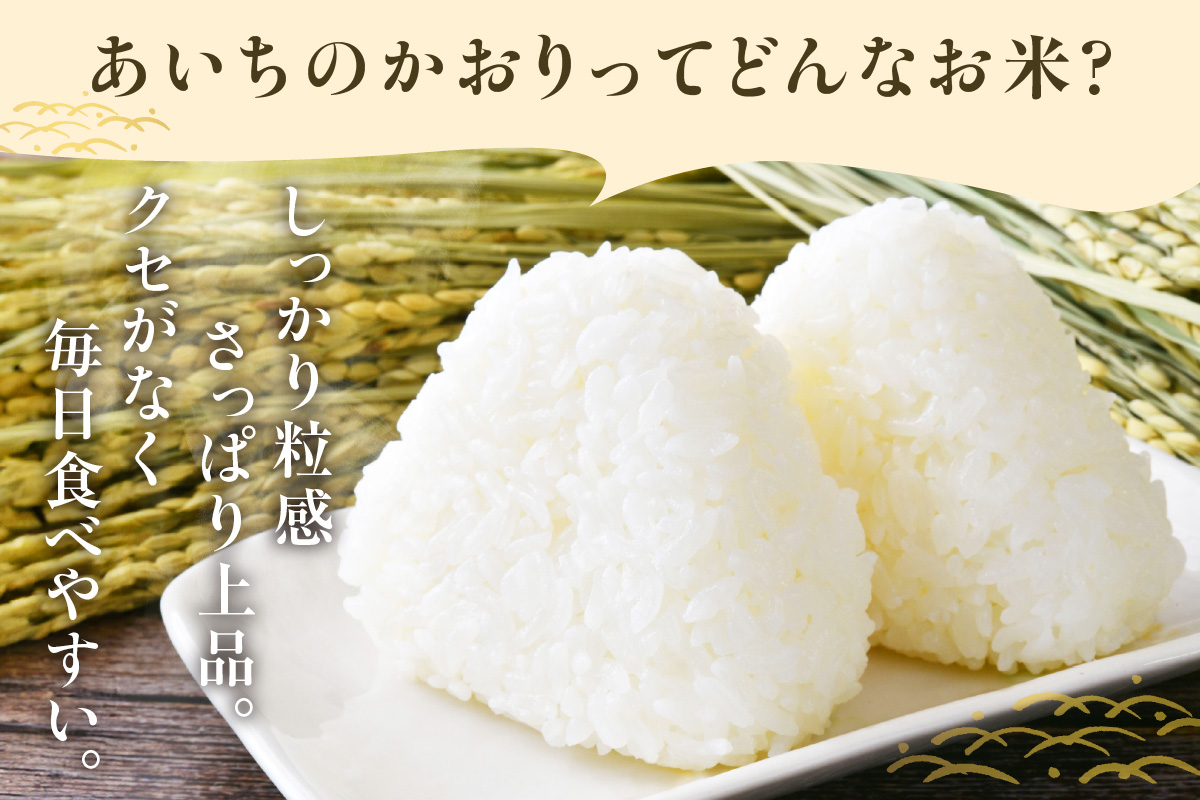 【無洗米】東浦町産　あいちのかおり　約5kg│米 お米 コメ 白米 精米 新米 産地直送 愛知県産 鈴木農産 愛知県 東浦町