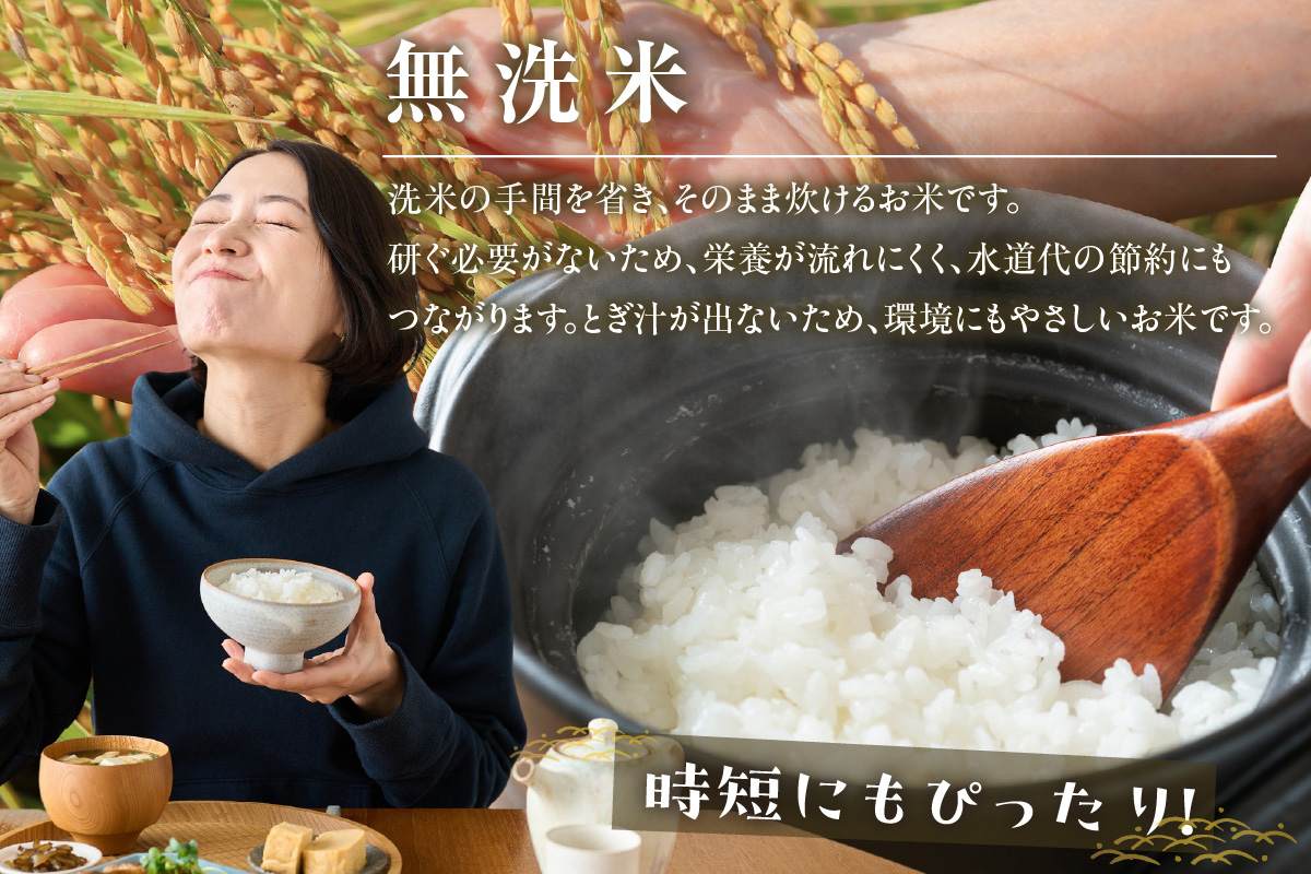【無洗米】東浦町産　あいちのかおり　約5kg│米 お米 コメ 白米 精米 新米 産地直送 愛知県産 鈴木農産 愛知県 東浦町