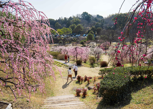 愛知県東浦町