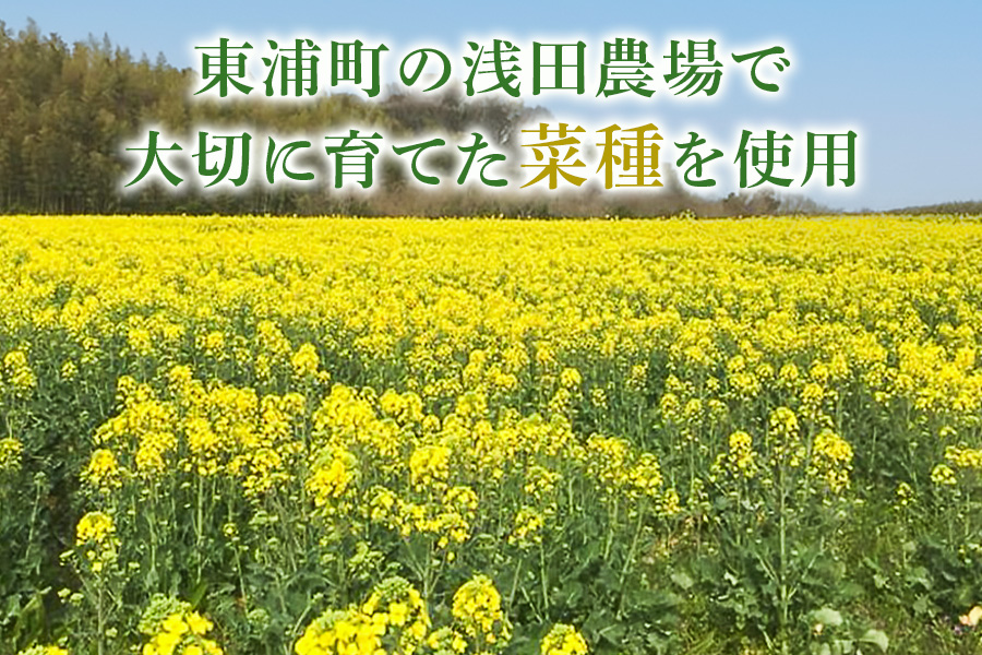 古式なたね油 (東浦町産菜種100%) 520g入り 12本｜菜種油 調味料 国産 無農薬 愛知県 [0687]