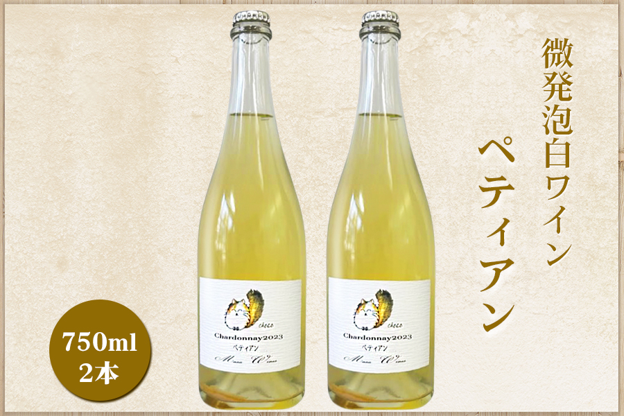 微発泡白ワイン Chardonnay2023 ペティアン 750ml (2本セット)｜ワイン スパークリング シャルドネ 無添加 無濾過 国産 日本ワイン 愛知県 東浦町 [0702]