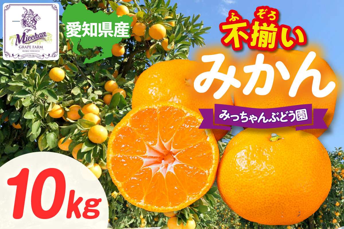 【先行予約】【2026年12月発送】【訳あり】不揃いみかん・10kg×1箱│フルーツ 果物 オレンジ 甘い 産地直送 柑橘 大容量 お得  愛知県 東浦町