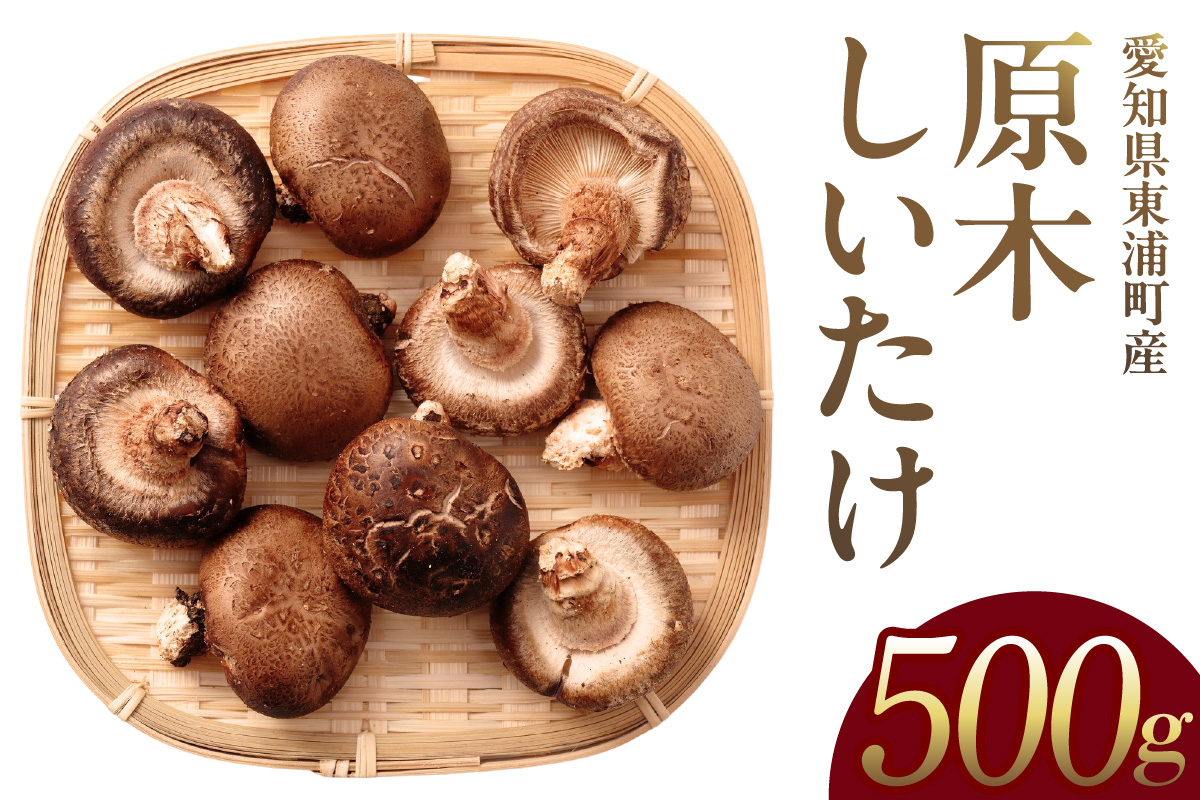 東浦町産 原木栽培生しいたけ（約500g）│椎茸 原木栽培 生 国産 愛知県