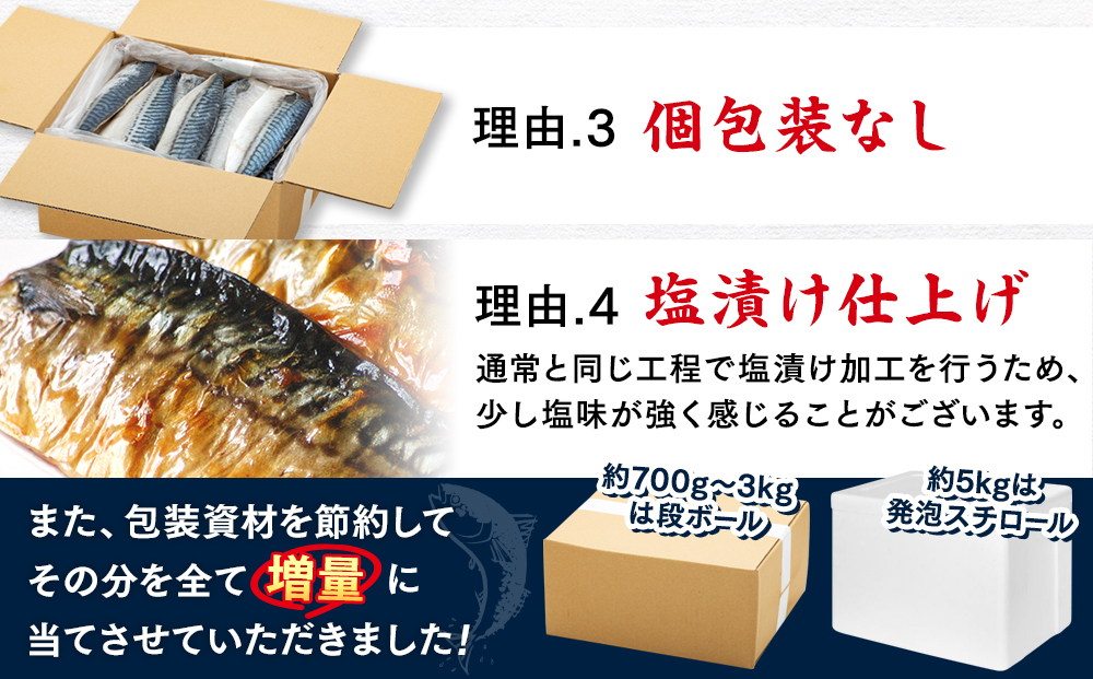 訳あり 塩サバ 約3kg 冷凍 鯖 塩 さば 魚 さかな 海鮮 海産物 おかず ご飯 おすすめ 人気 愛知県 南知多町 【配送不可地域：離島】