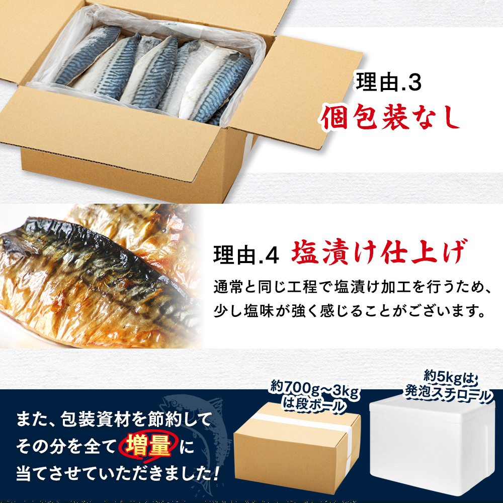 【定期便 毎月3回】 塩サバフィレ 計:9kg ※1回あたり3kg 冷凍 鯖 塩 さば 魚 さかな 海鮮 海産物 おかず サバ 鯖ご飯 おすすめ 人気 さば サバ 鯖 魚 魚介 海鮮 惣菜 塩サバ 塩鯖 焼き鯖 サバ 焼きさば 焼さば 減塩 塩 鯖 さば サバ おすすめ 人気 ふるさと納税 鯖 サバ さば ふるさと納税さば 南知多 さば 鯖 定期便 人気 おすすめ 愛知県 南知多町