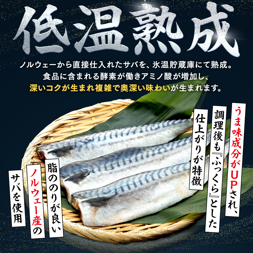 【定期便 隔月3回】 塩サバフィレ 計:9kg ※1回あたり3kg 冷凍 鯖 塩 さば 魚 さかな 海鮮 海産物 おかず サバ 鯖ご飯 おすすめ 人気 さば サバ 鯖 魚 魚介 海鮮 惣菜 塩サバ 塩鯖 焼き鯖 サバ 焼きさば 焼さば 減塩 塩 鯖 さば サバ おすすめ 人気 ふるさと納税 鯖 サバ さば ふるさと納税さば 南知多 さば 鯖 定期便 人気 おすすめ 愛知県 南知多町