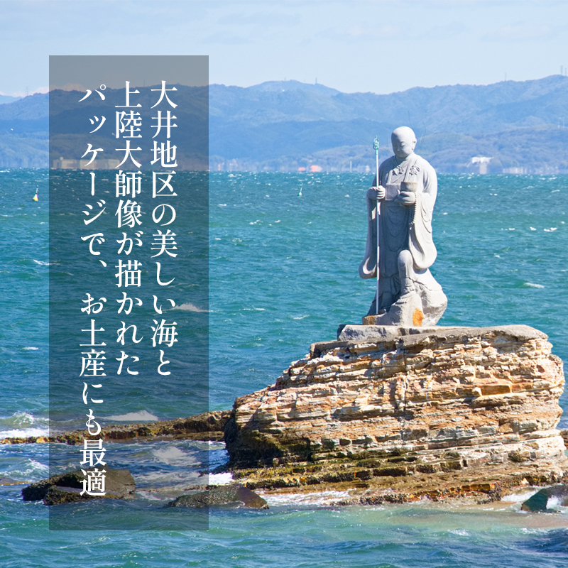 海苔 480枚 (12本40枚) 国産 味付け 愛知県 南知多町 海藻 海苔 のり 八切り ボトル 大井漁協