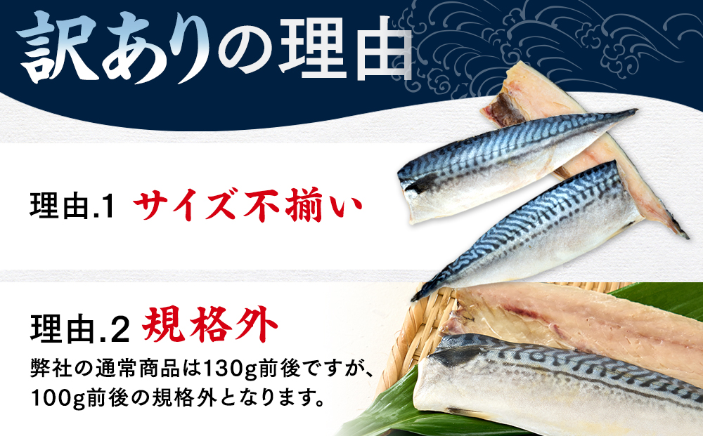 訳あり 塩サバ 約700g 冷凍 鯖 塩 さば 魚 さかな 海鮮 海産物 おかず ご飯 おすすめ 人気 愛知県 南知多町 【配送不可地域：離島】