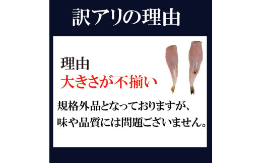 訳あり サバフグ 2kg 鍋 唐揚げ フグ 塩 焼き 小分け 魚 フグ 河豚 さかな フグ 魚介 海鮮 新鮮 さかな 海の幸 海産物 愛知県サバフグ フグ グリル ごはん 料理 おかず おつまみ 晩酌 愛知県南知多町サバフグ 塩焼き ふぐ冷凍 フグ 南知多町サバフグ 山庄水産株式会社 ふるさと納税サバフグ 愛知県 南知多町 人気 おすすめ 【離島不可】