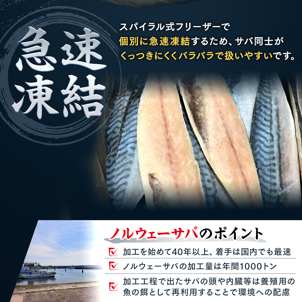 【定期便 毎月3回】 塩サバフィレ 計:9kg ※1回あたり3kg 冷凍 鯖 塩 さば 魚 さかな 海鮮 海産物 おかず サバ 鯖ご飯 おすすめ 人気 さば サバ 鯖 魚 魚介 海鮮 惣菜 塩サバ 塩鯖 焼き鯖 サバ 焼きさば 焼さば 減塩 塩 鯖 さば サバ おすすめ 人気 ふるさと納税 鯖 サバ さば ふるさと納税さば 南知多 さば 鯖 定期便 人気 おすすめ 愛知県 南知多町