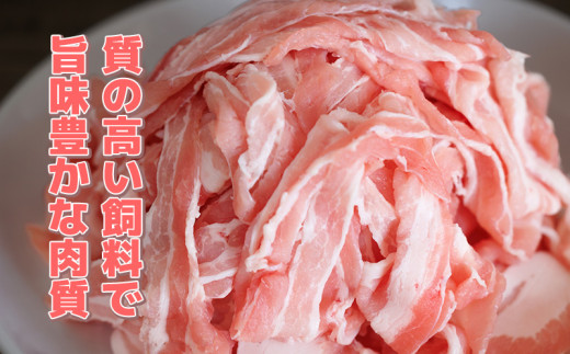 【2024県知事賞 受賞！】 豚 焼肉 セット 800g ( ロース・バラ各400g ) 冷凍 国産 ブランド豚 豚肉 ロース バラ ミーナポーク セット 詰め合わせ 焼き肉 焼肉 丼 家庭用 贈答用 プレゼント パーティー 愛知県 南知多町 【2024県知事賞 受賞！】