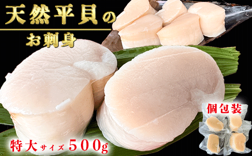 【先行予約】むき身 セット 約500g 冷凍 詰め合わせ 特大サイズ 平貝 岬だより 魚介 海鮮 貝 出汁 愛知県 南知多町