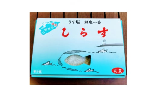 しらす 500g 減塩 冷凍 日間賀島 丸豊 離乳食 魚 さかな ご飯 ごはん 国産 シラス 人気 おすすめ 愛知県 南知多町