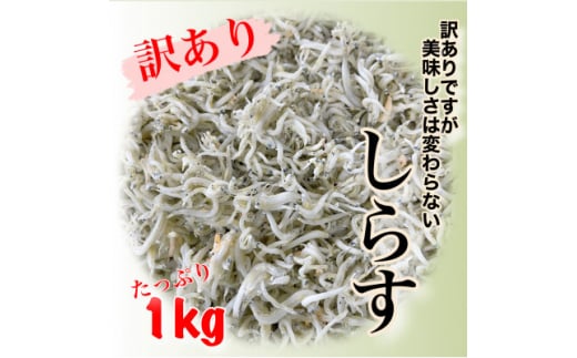 訳あり 釜揚げ しらす 1kg 減塩 日間賀島 冷凍 丸豊 愛知県 南知多町 離乳食 魚 さかな ご飯 ごはん 国産 シラス ピザ サラダ おにぎり 弁当 人気 おすすめ