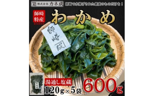 わかめ 600g ( 120g × 5袋 ) 小分け 湯通し 塩蔵 冷蔵 愛知県 南知多町 味噌汁 サラダ 料理 国産 カネ成 人気 おすすめ