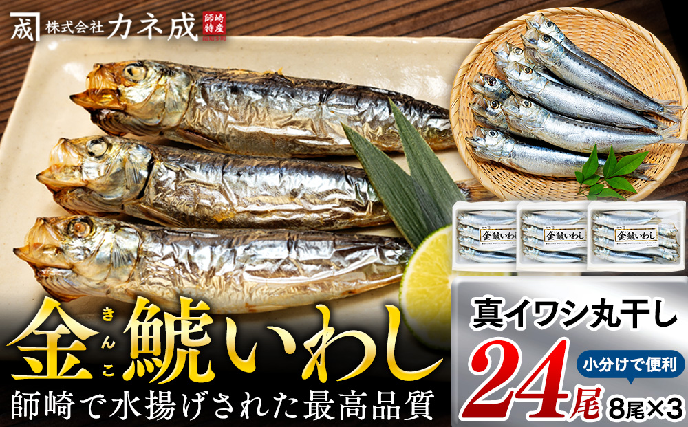 いわし 丸干し 24尾 ( 8尾 × 3 パック ) 干物 冷凍 小分け 愛知県 南知多町 ご飯 ごはん おかず おつまみ 魚 さかな 鰯 金鯱 イワシ 栄養 料理 国産 カネ成 人気 おすすめ