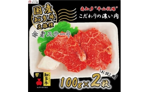 国産 牛肉 赤身 ステーキ 100g × 2枚 知多牛 響 冷凍 国産牛 牛 牛脂 付き お肉 肉 ごはん ご飯 おかず 料理 調理 ご褒美 お祝い 人気 おすすめ 愛知県 南知多町