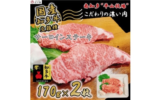 国産 牛肉 サーロインステーキ 340g ( 170g × 2枚 ) 知多牛 響 冷凍 お肉 肉 国産牛 サーロイン ステーキ ご飯 ごはん 料理 酒 ご褒美 記念日 お祝い 人気 おすすめ 愛知県 南知多町 【配送不可地域：離島】