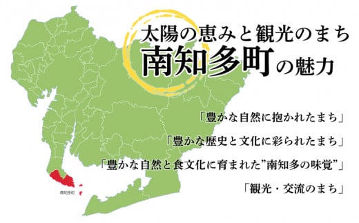 海苔 12本 国産 ご飯 ごはん おかず つまみ 味付け のり 島のり 魚介 海の幸 愛知県 南知多町 日間賀島 家庭用 自宅用 贈答 ギフト プレゼント 人気 おすすめ