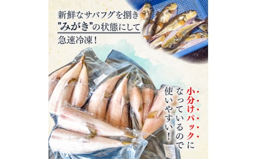 訳あり サバフグ むき身 2kg ( 500g × 4パック ) 鍋 唐揚げ 塩 焼き 小分け 魚 河豚 さかな 魚介 海鮮 新鮮 海の幸 フグ グリル 冷凍 愛知県 南知多町 人気 おすすめ 【離島不可】