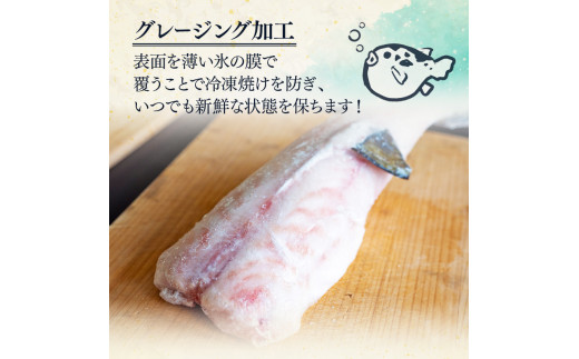 訳あり サバフグ むき身 2kg ( 500g × 4パック ) 鍋 唐揚げ 塩 焼き 小分け 魚 河豚 さかな 魚介 海鮮 新鮮 海の幸 フグ グリル 冷凍 愛知県 南知多町 人気 おすすめ 【離島不可】