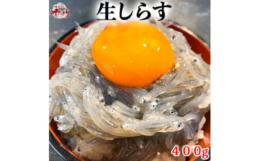 生しらす(お刺身) 400ｇ(100ｇ×4個) 岬だより