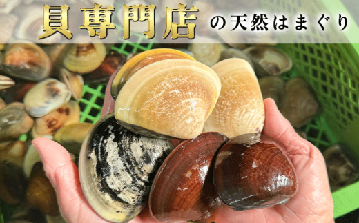 【先行予約】 岬だより 希少 天然はまぐり 中サイズ 500g×2袋