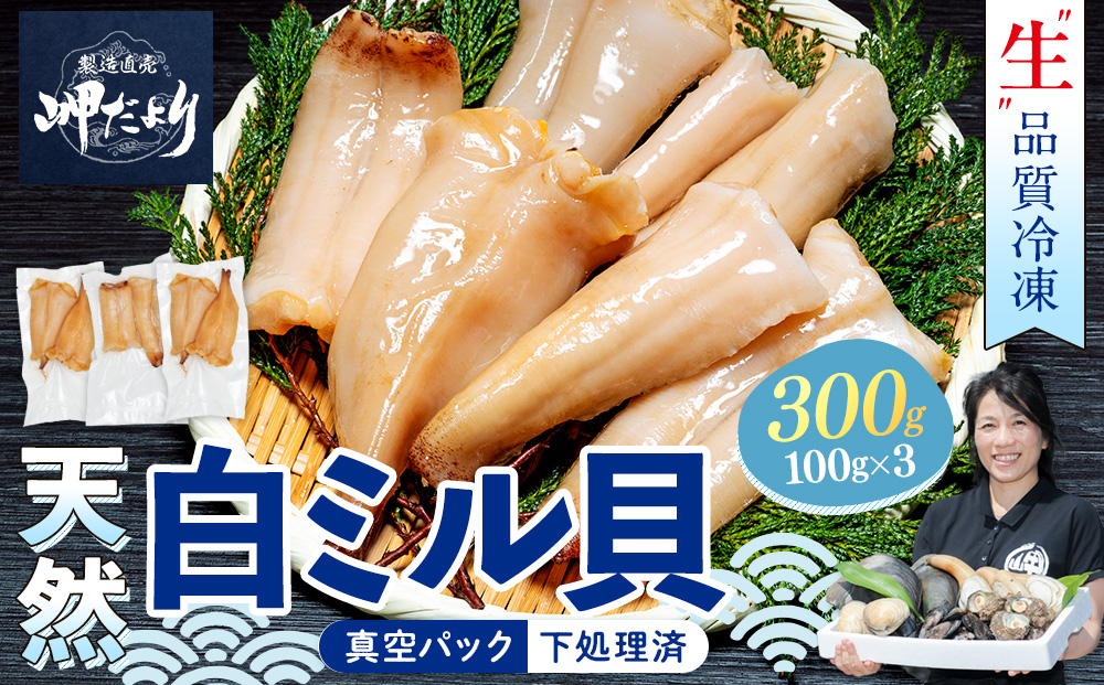 岬だより ＜貝専門店＞ 天然 白ミル貝 100g × 3袋 冷凍 新鮮 海鮮 鮮度 風味 魚介 貝 海の幸 お刺身 寿司 バター焼き ご飯 甘み おつまみ 酒 おすすめ 人気 愛知県 南知多町 三河湾 【離島不可】