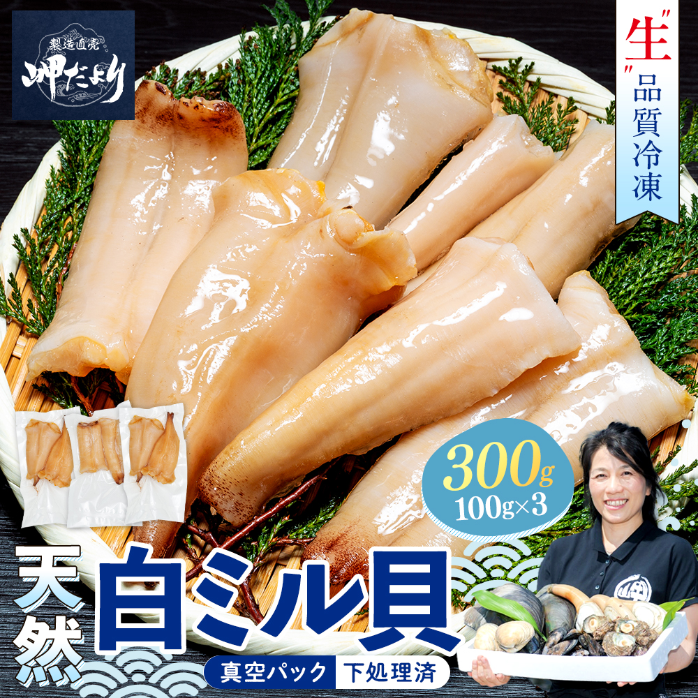 岬だより ＜貝専門店＞ 天然 白ミル貝 100g × 3袋 冷凍 新鮮 海鮮 鮮度 風味 魚介 貝 海の幸 お刺身 寿司 バター焼き ご飯 甘み おつまみ 酒 おすすめ 人気 愛知県 南知多町 三河湾 【離島不可】