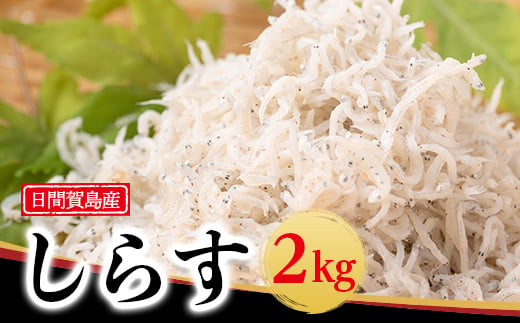 日間賀島 釜揚げ しらす 2kg 天然 塩 愛知県 南知多町 冷凍 ご飯 ごはん パスタ サラダ ピザ 丼 料理 国産 パーティー 魚 さかな シラス ミネラル 人気 おすすめ