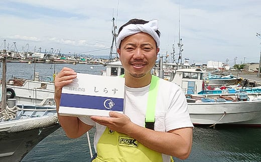 日間賀島 釜揚げ しらす 2kg 天然 塩 愛知県 南知多町 冷凍 ご飯 ごはん パスタ サラダ ピザ 丼 料理 国産 パーティー 魚 さかな シラス ミネラル 人気 おすすめ