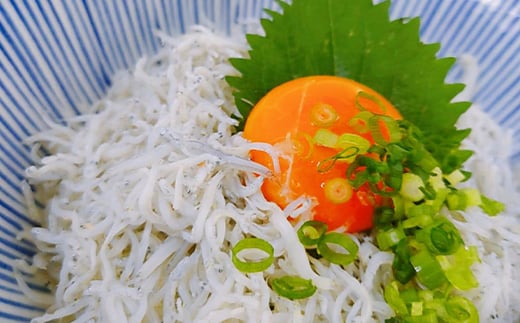 日間賀島 釜揚げ しらす 2kg 天然 塩 愛知県 南知多町 冷凍 ご飯 ごはん パスタ サラダ ピザ 丼 料理 国産 パーティー 魚 さかな シラス ミネラル 人気 おすすめ