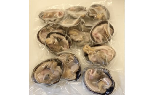 三河湾の大アサリ11～13切(約1kg)活きたままCAS冷凍・下処理済・海鮮BBQに!