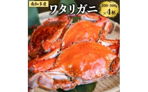 数量限定 ボイルワタリガニ 4杯 魚太郎 ボイル前:1匹200g～300g 冷凍 カニ 蟹 国産 魚介 海鮮 味噌 ボイル済み 愛知県 南知多町 人気 おすすめ