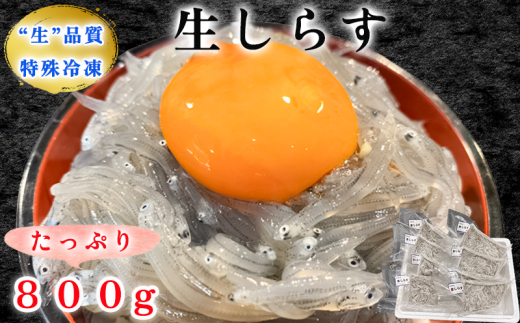 生しらす(お刺身) 800ｇ(100ｇ×8個) 岬だより