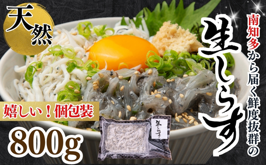 生しらす(お刺身) 800ｇ(100ｇ×8個) 岬だより