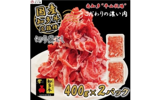 牛肉 切り落とし 400g×2P 800g  (4人前)  知多牛 響