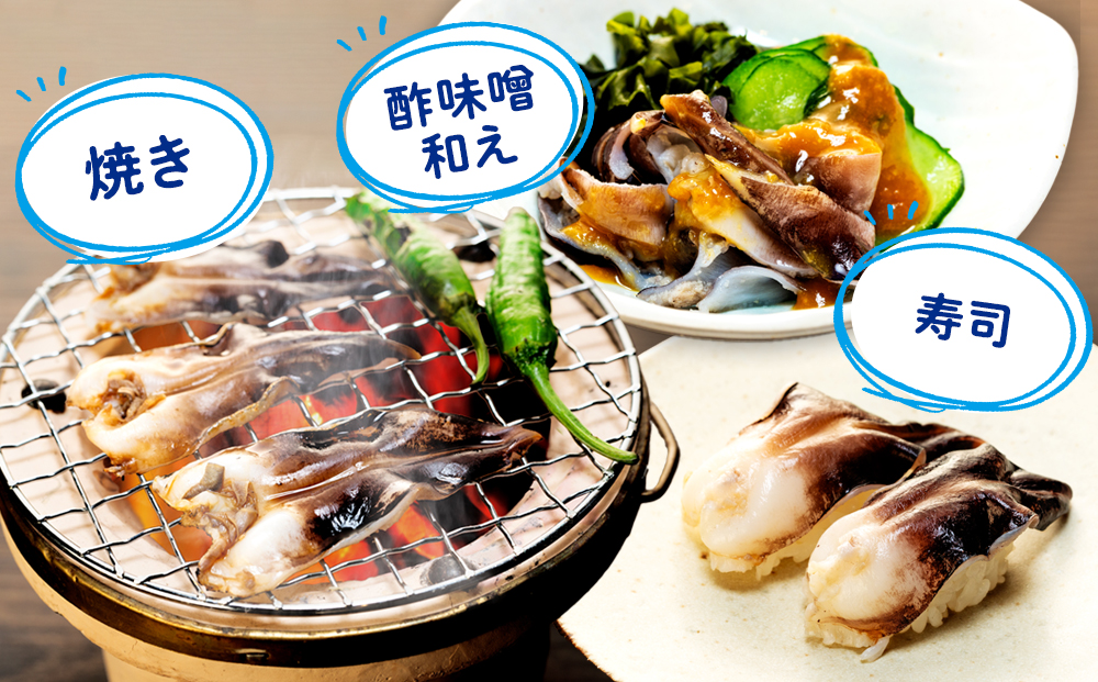 縲仙、ゥ辟カ縲題i蜴壹→繧願イ昴♀蛻コ霄ォ 縺ィ繧願イ昴千音螟ァ9譫壼・繧翫3繧サ繝繝 蟯ャ縺繧医j