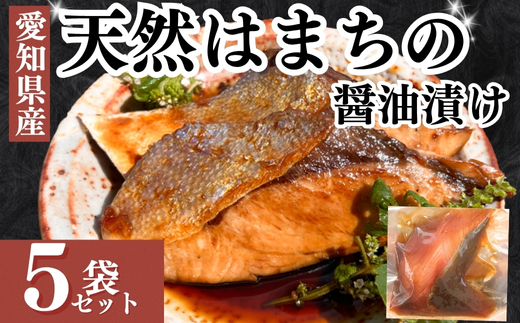 岬だよりの 天然はまちの醤油漬け 5袋セット＜個包装＞