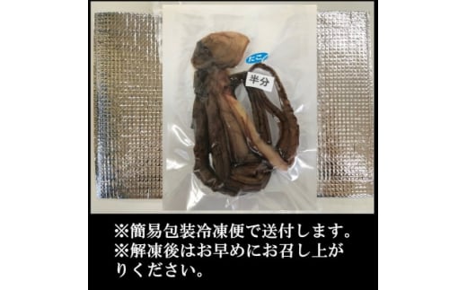 訳あり たこ 干物 半分(約120g) 日間賀島産真蛸の半生干物!旨味を凝縮しているから美味しい!