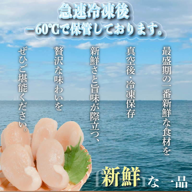 愛知県産平貝(タイラギ)ステーキ貝柱2個入　2パック