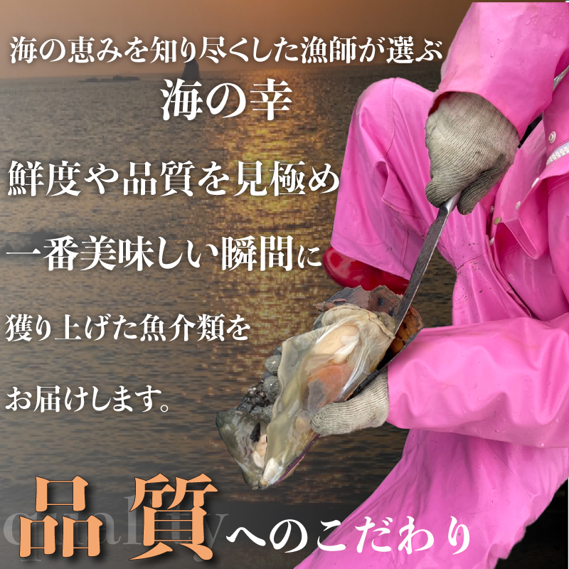 愛知県産平貝(タイラギ)ステーキ貝柱2個入　2パック